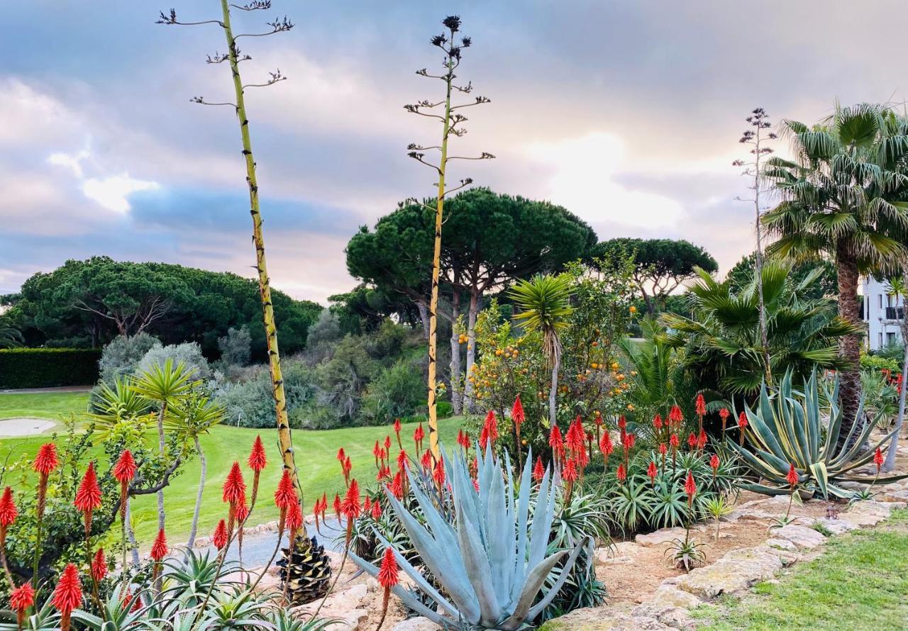 Algarve Luxury Experience - Situated Within The Pinecliffs Resort 알부페이라 외부 사진
